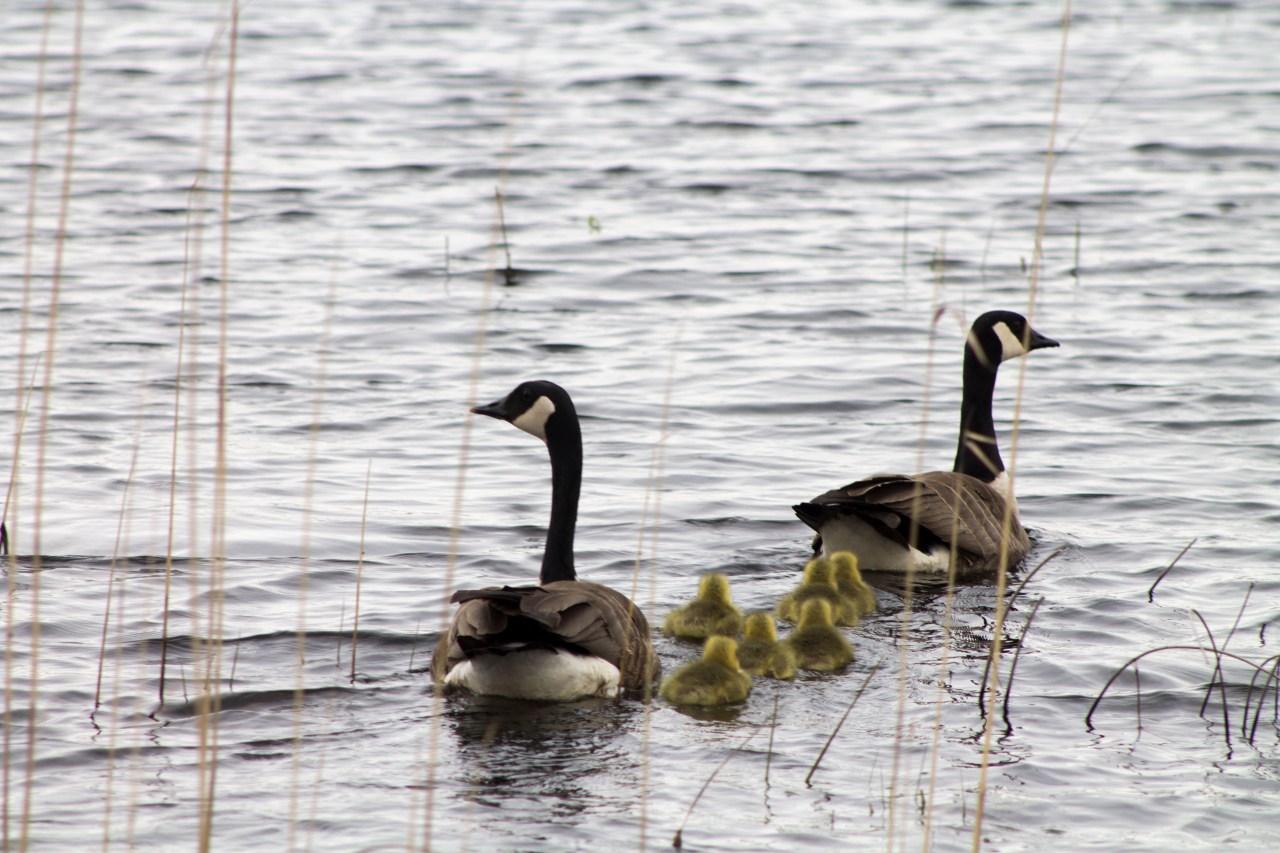 This week in my nature photography class