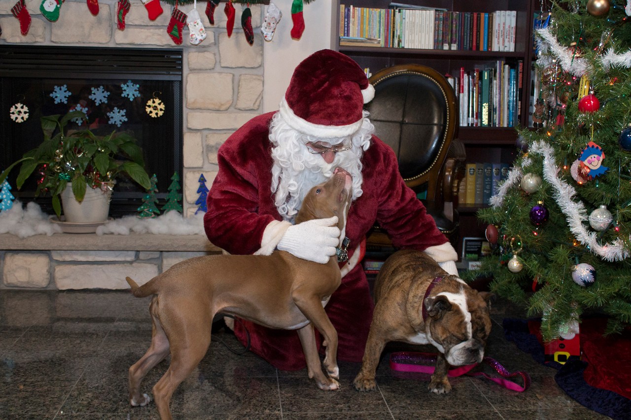 Mit Liebe Photos with&nbsp;Santa!