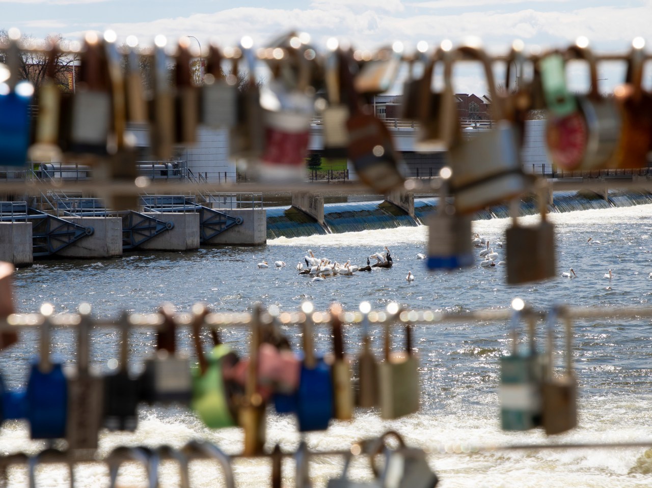 Week 7 Challenge- Storing Telling: Love&nbsp;Story